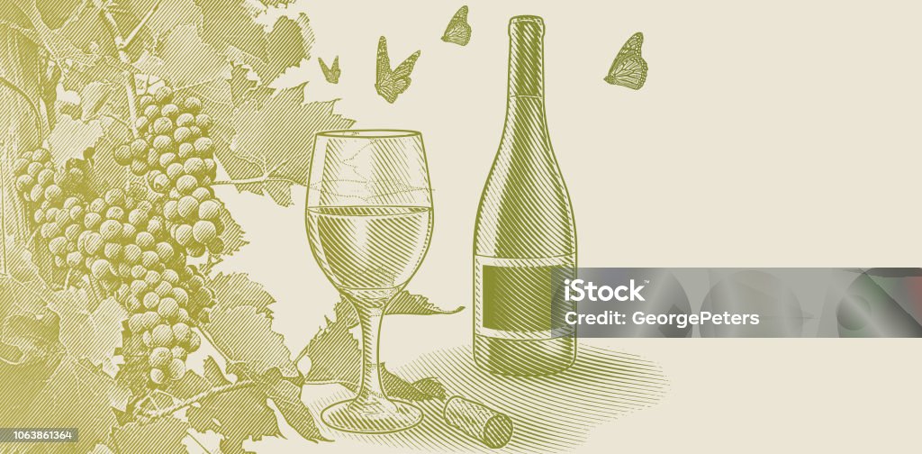 Vineyard wine grapes with bottle and glass of wine Engraved illustration of Vineyard wine grapes with bottle and glass of wine Alcohol - Drink stock vector