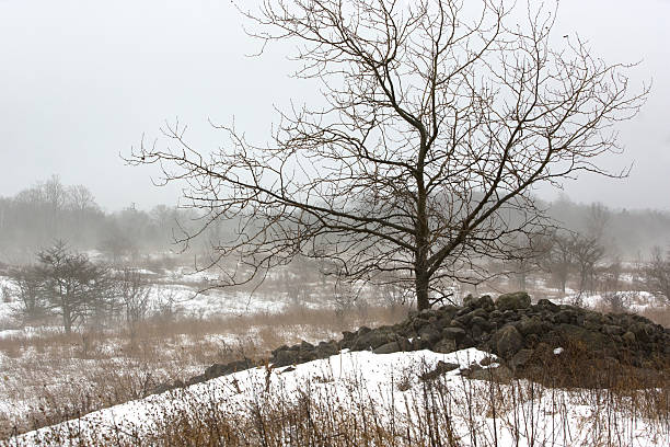 A cold winter day on the snow covered dunes on Raritan Bay in Keansburg, New Jersey.