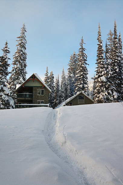 Snowy trail stock photo
