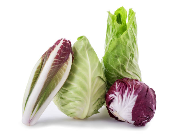 Vegetables group isolated Chicory cabbage radicchio end salade isolated on white cruciferous vegetables stock pictures, royalty-free photos & images