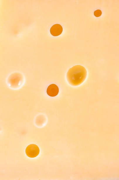 istock Piece of tasty cheese 106387762
