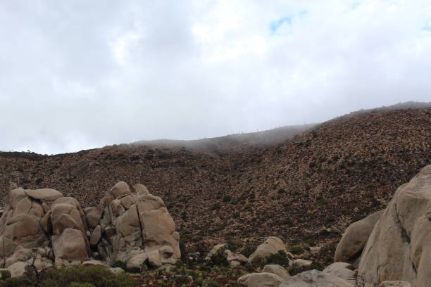 istock DAYBREAK SLOPES JOSHUA TREE NATIONAL PARK 101418 1063878172