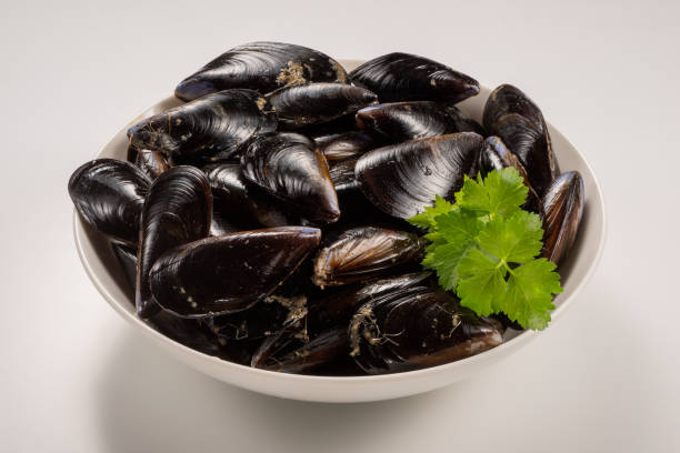 Bowl with fresh raw mussels and parsley