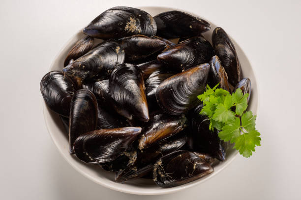 istock Bowl with fresh raw mussels and parsley 1063879182