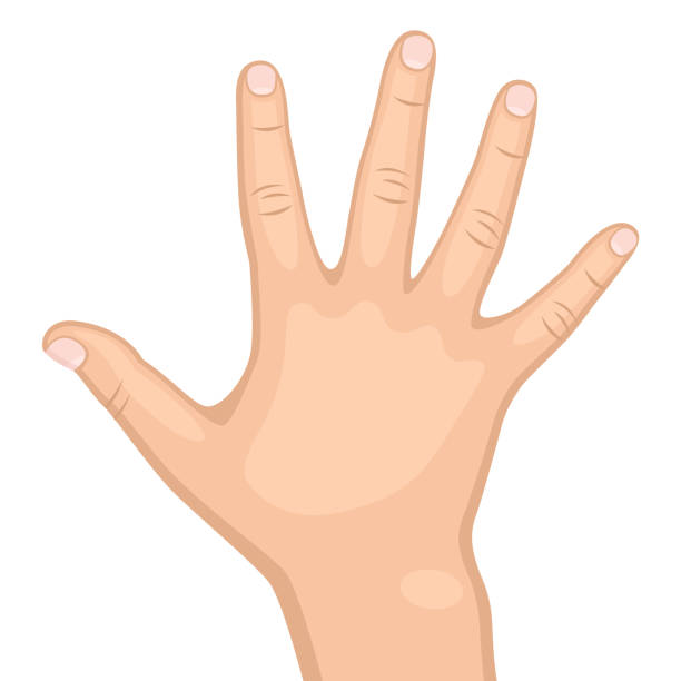 ręka - hand sign index finger human finger human thumb stock illustrations