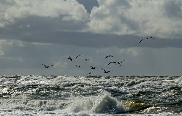 istock Storm on the Baltic sea 1063879316