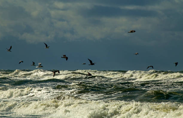 istock Storm on the Baltic sea 1063879320