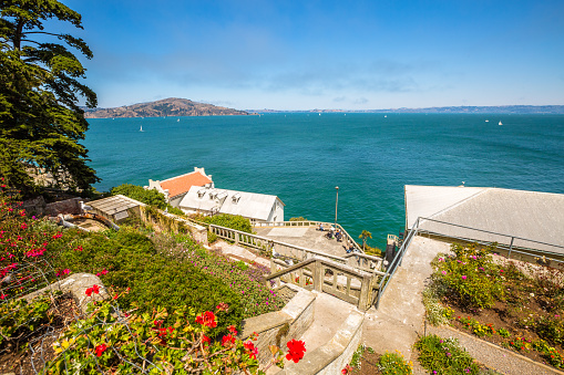 San Francisco, California, United States - August 14, 2016: Garden of San francisco Alcatraz prison. Aerial view of cityscape. Alcatraz Island remains one of San Francisco's most popular cruises.