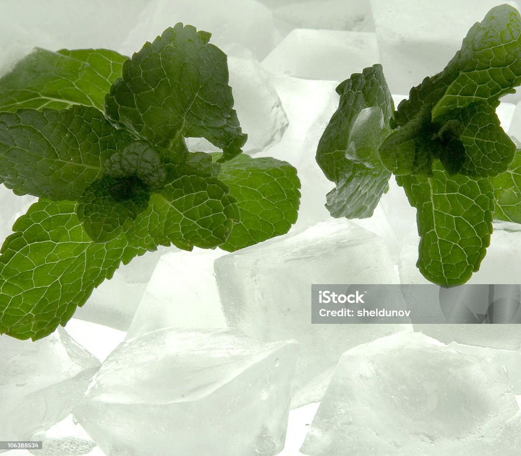 fresh mint with ice Cold Temperature Stock Photo