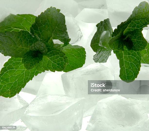 Fresh Mint With Ice Stock Photo - Download Image Now - Cold Temperature, Color Image, Cool Attitude