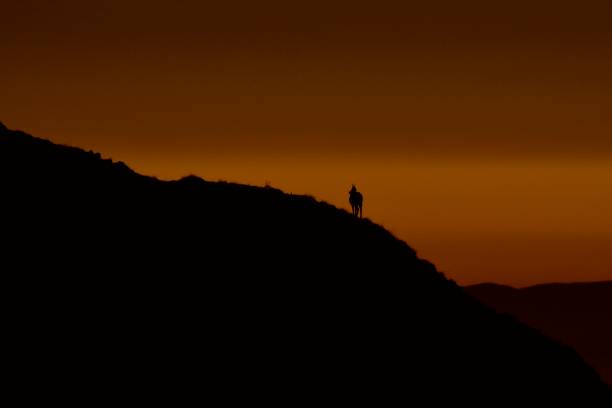 istock Silhouette of chamois in mountains. 1063887424