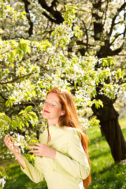 연두빛-여자 꽃송이 나무 아래에서 일광욕을 즐겨 보십시오. - portrait adults apple tree cherry tree 뉴스 사진 이미지