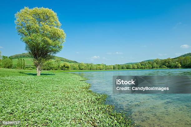 Lago Di Montagna Estate Naturale - Fotografie stock e altre immagini di Acqua - Acqua, Ambientazione esterna, Ambientazione tranquilla