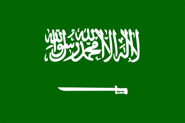 флаг саудовской аравии - saudi arabia stock illustrations