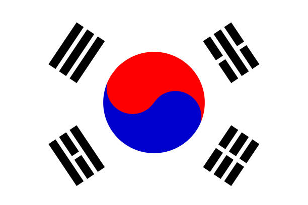 대한민국의 국기 - south korea south korean flag korea flag stock illustrations