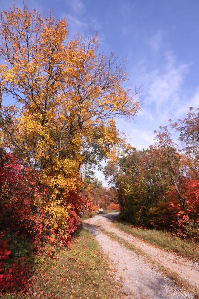 istock Autumn Dirt Road 1063906614