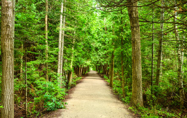 istock Vicki Barron Lakeside Trails, Orangeville 1063908924