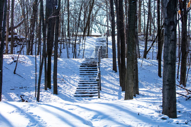 Wooden stairs ,valley Fox river in Wisconsin.