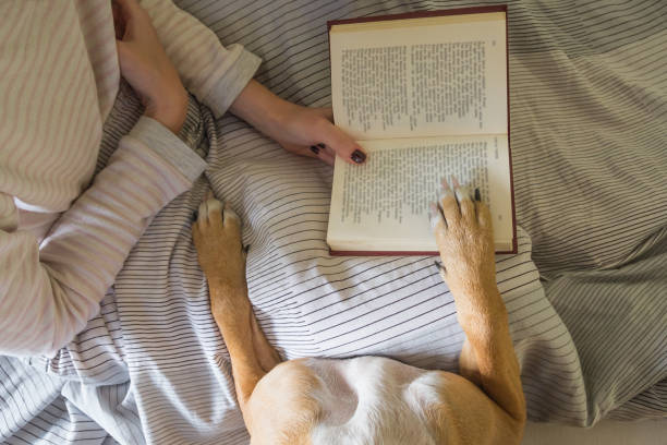 istock Reading book in bed with a dog. 1063917768