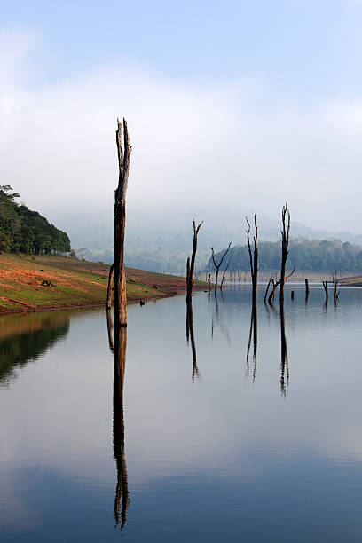 Periyar Lake Reserve Periyar Lake Reserve in Kerala state india periyar wildlife sanctuary stock pictures, royalty-free photos & images