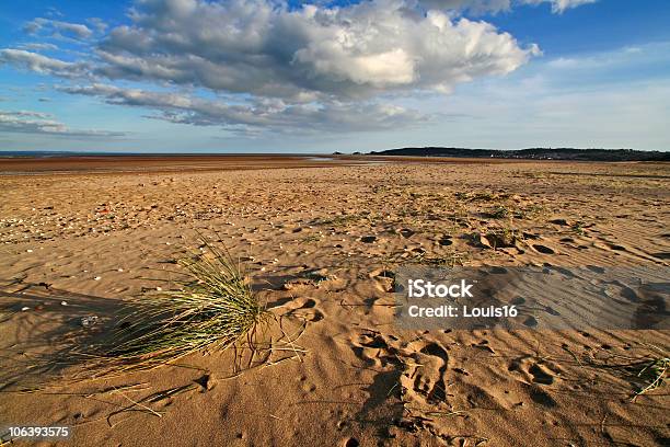 Maré Baixa - Fotografias de stock e mais imagens de Anoitecer - Anoitecer, Ao Ar Livre, Areia