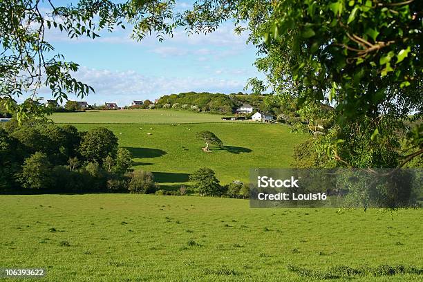 Welsh Natureza - Fotografias de stock e mais imagens de Agricultura - Agricultura, Ao Ar Livre, Casa