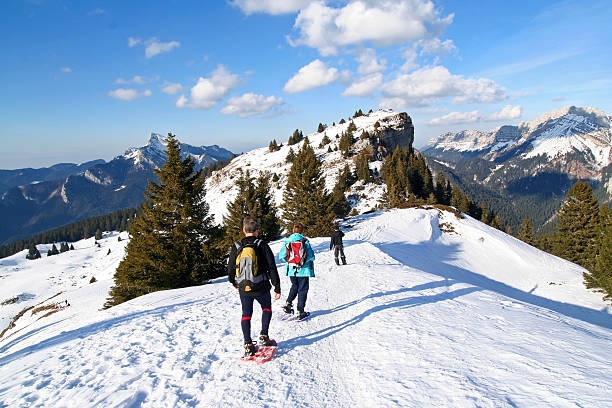 istock trekking in the alps 106393651
