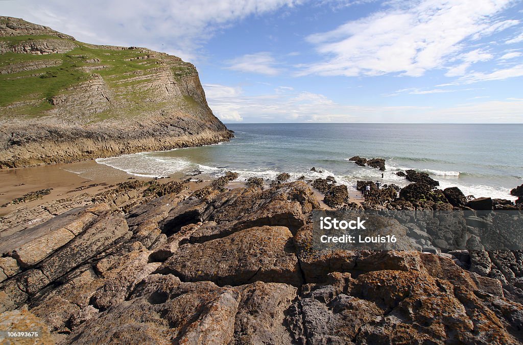 Mewslade la bahía - Foto de stock de Bahía libre de derechos