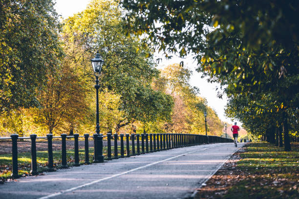 corredor, ponto de fuga - british racing green - fotografias e filmes do acervo