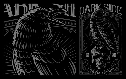 Black Raven on the skull. Vector illustration of print for the shirts on the dark background. Layered, text is on the separate group.