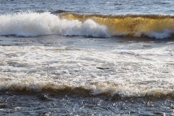 bella onda schiumosa sul lago. parte della cresta dell'onda si sbriciolava e formava schiuma, e l'altra parte dell'onda bella gialla a causa dei raggi del sole che passavano attraverso l'onda. - cresta dellonda foto e immagini stock
