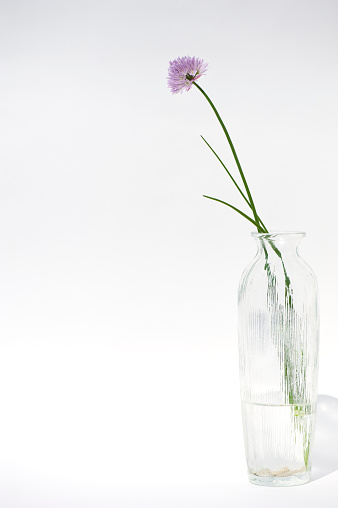 Wildflowers in a Glass Jar against Green Defocused Background