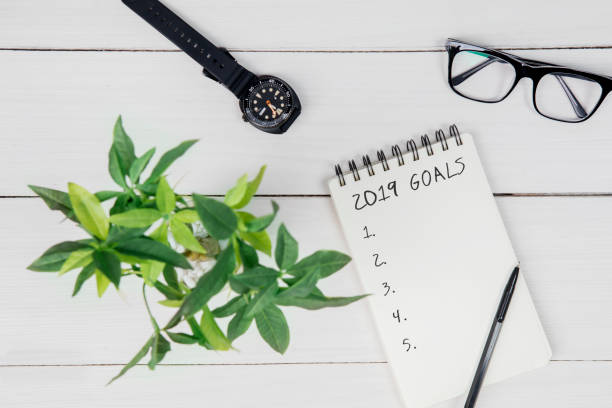 istock Green plant with text of 2019 goals on table 1063945106