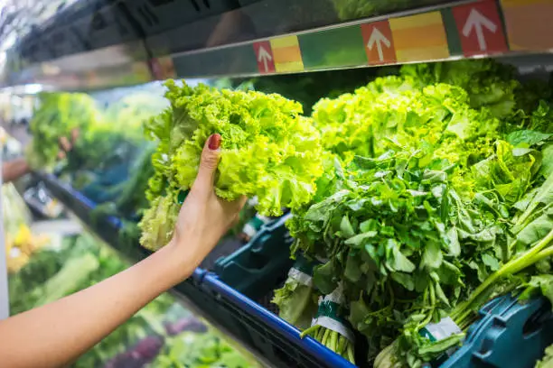 Closeup of young woman hand pick up fresh lettuce on the basket in the supermarket