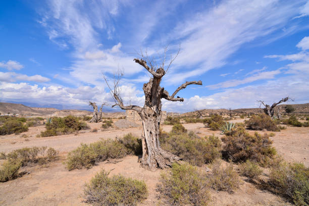istock Desert Tabernas in Almeria Province Spain 1063946638
