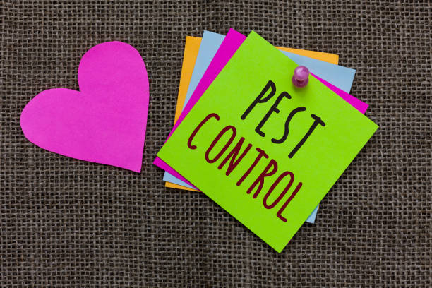 istock Handwriting text Pest Control. Concept meaning Killing destructive insects that attacks crops and livestock Paper notes Important reminders Romantic lovely message Jute background. 1063948442