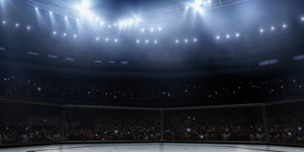 Professional boxing ring in 3D Professional boxing ring in 3D with tribune, fans and blue rays of light mixed martial arts photos stock pictures, royalty-free photos & images
