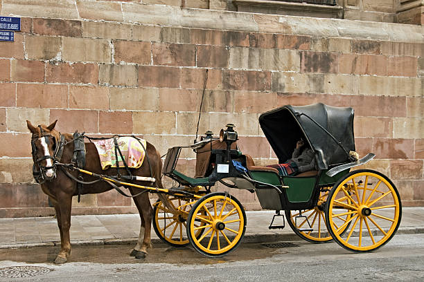 istock Horsedrawn resting in Malaga. 106395089