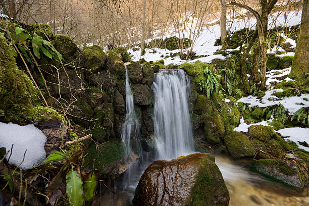 istock Small waterfall in the wood 106395208