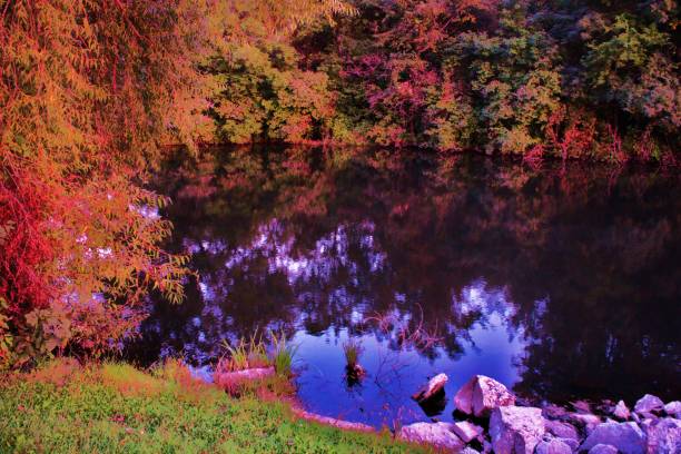 istock Autumn in the park 1063952128
