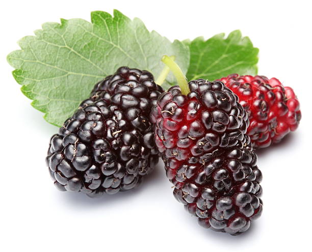 Three ripe mulberries with leaves on white background