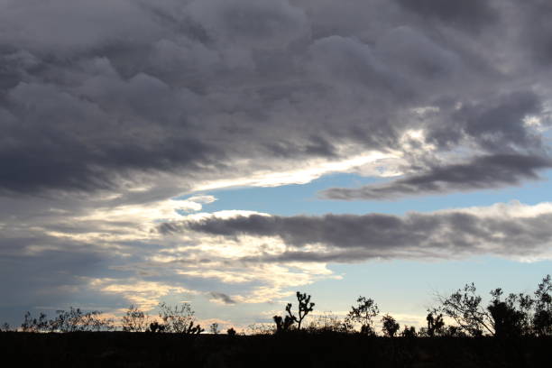 istock SUNRISE CLOUDS JOSHUA TREE NATIONAL PARK 101418 1063956606