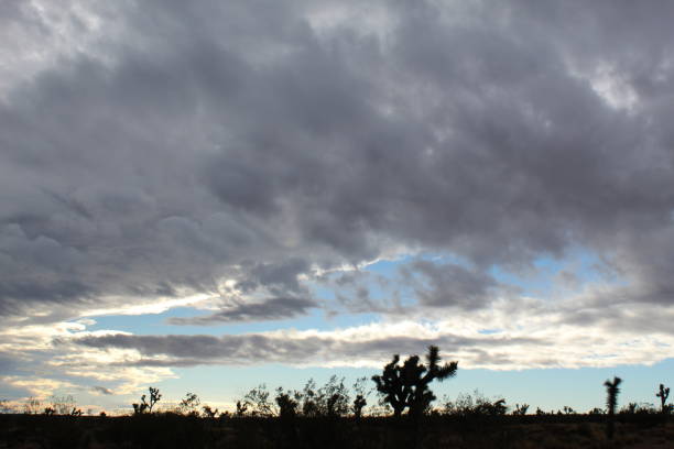 istock SUNRISE CLOUDS JOSHUA TREE NATIONAL PARK 101418 1063956608