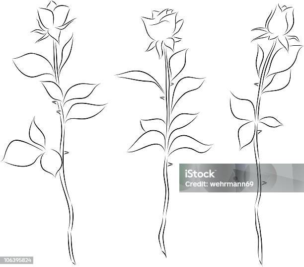Three Roses Stock Illustration - Download Image Now - Rose - Flower, Thorn, Beauty