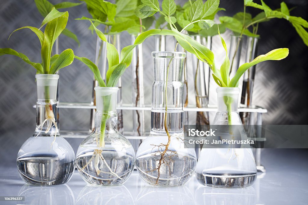 Biotecnologia - Foto stock royalty-free di Ambiente