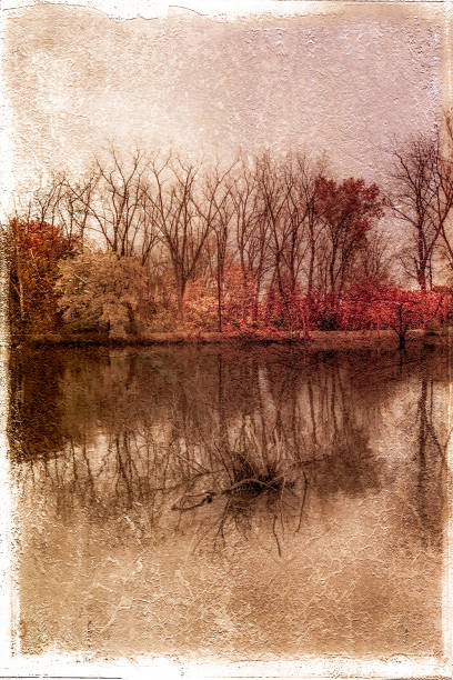 istock Autumn - November Nature 1063963442