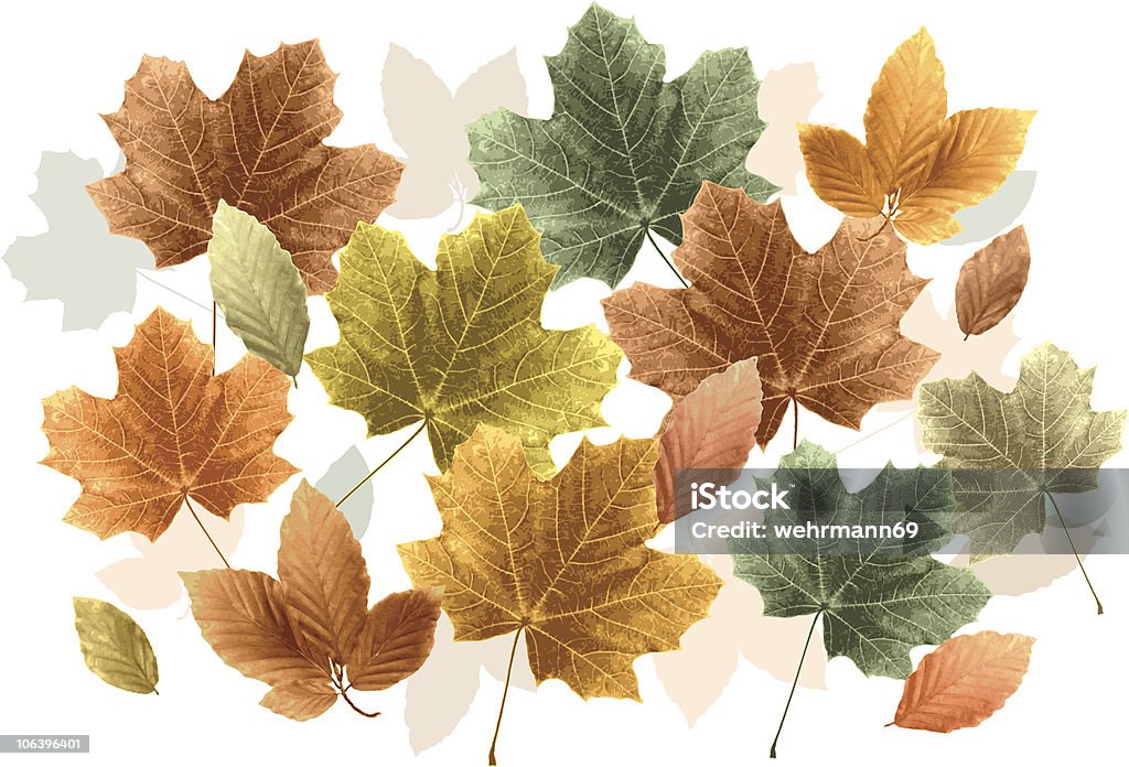 Autumn листья - Векторная графика Векторная графика роялти-фри