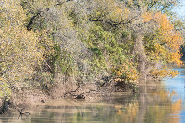 istock Fall foliage color reflection along river in Dallas, North Texas, America 1063964232