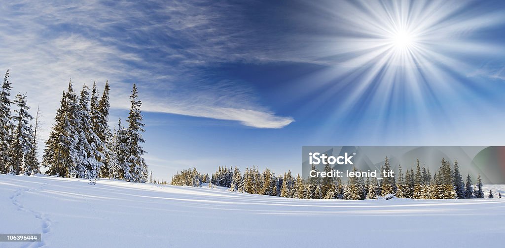 Winter trees Winter trees in mountains covered with fresh snow Sun Stock Photo