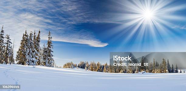 Winter Trees Stock Photo - Download Image Now - Sun, Sunlight, Snow